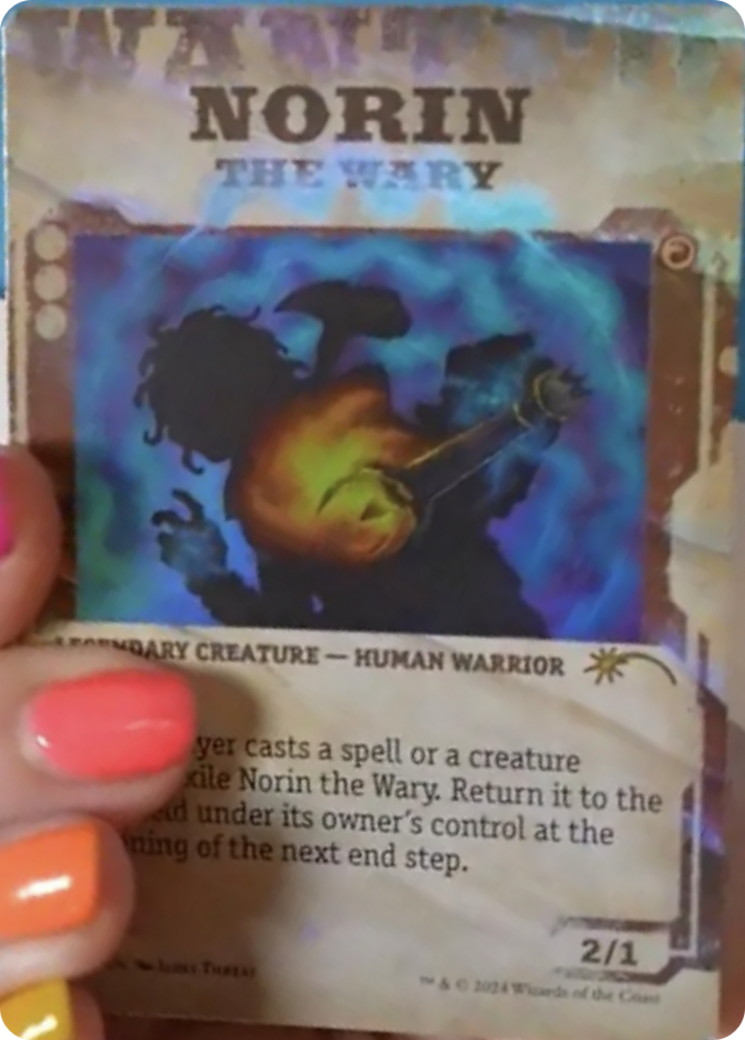 Norin the Wary // Norin the Wary (SLD-827) - Secret Lair Drop (Borderless)