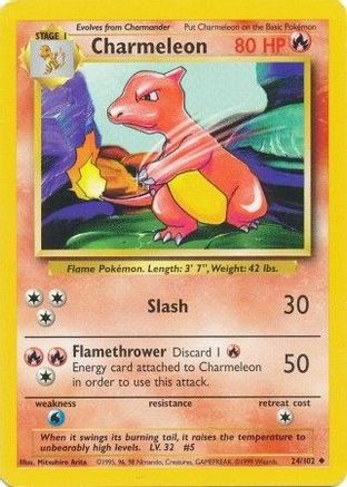 Charmeleon 24/102 - Base