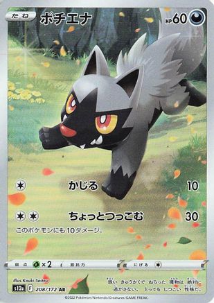 Poochyena - 208/172 (208/172) - S12a VSTAR Universe Holofoil JPN