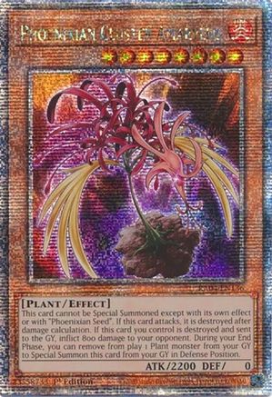 Phoenixian Cluster Amaryllis (Quarter Century Secret Rare) (RA04-EN136) - Quarter Century Stampede 1st Edition