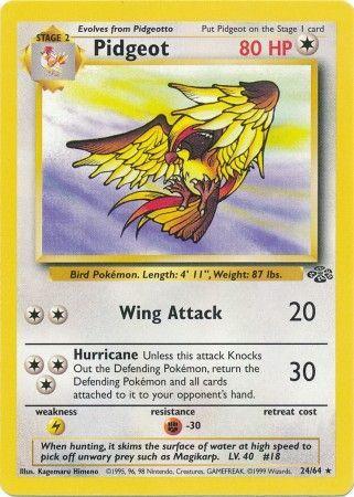 Pidgeot (24) 24/64 - Jungle Unlimited