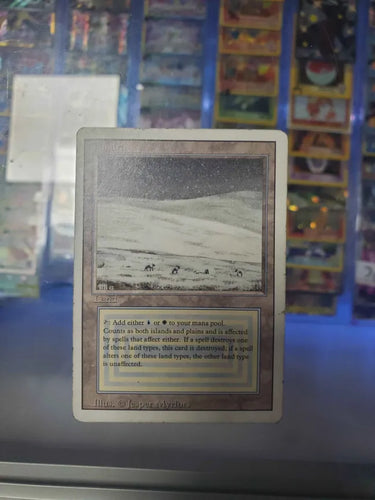 Tundra (3ED-289) - Revised Edition (Damaged/Inked)