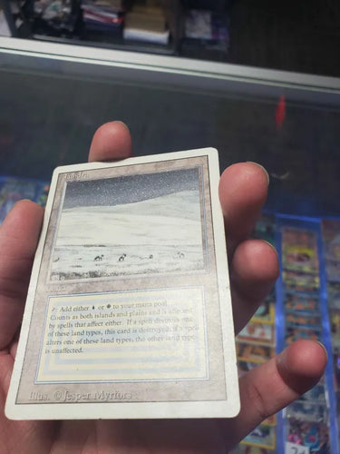 Tundra (3ED-289) - Revised Edition (Damaged/Inked)