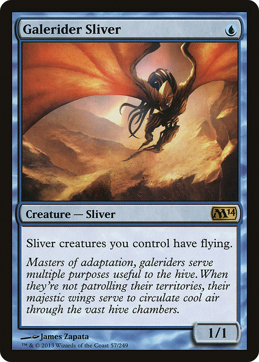 Galerider Sliver