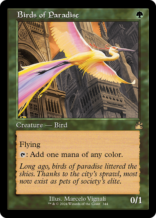 Birds of Paradise Retroframe