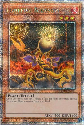 Lonefire Blossom (QCR)