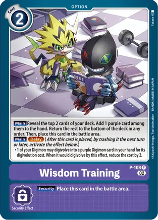 Wisdom Training Promo