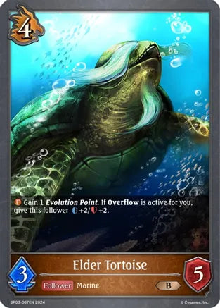 Elder Tortoise