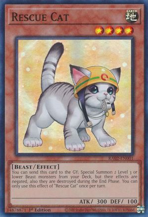 Rescue Cat (Alternate Art) (RA02-EN001) - 25th Anniversary Rarity Collection II 1st Edition