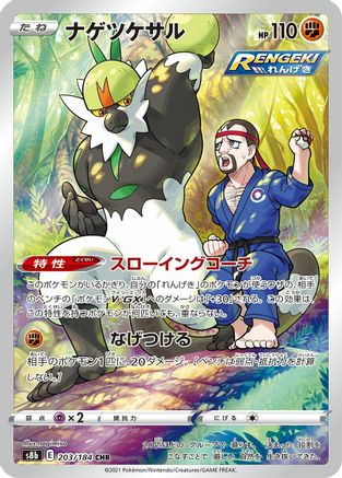 Passimian - 203/184 (203/184) - S8b VMAX Climax Holofoil JPN
