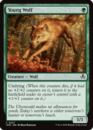 Young Wolf (-227) - Innistrad Remastered Foil