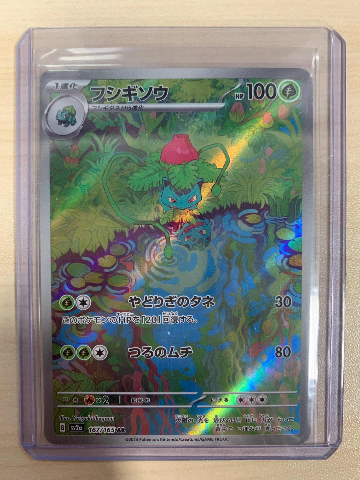 Ivysaur AR (JPN)