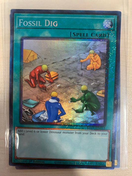 Fossil Dig (P-CR)