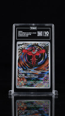 Yveltal 205/182 TAG 10 - front