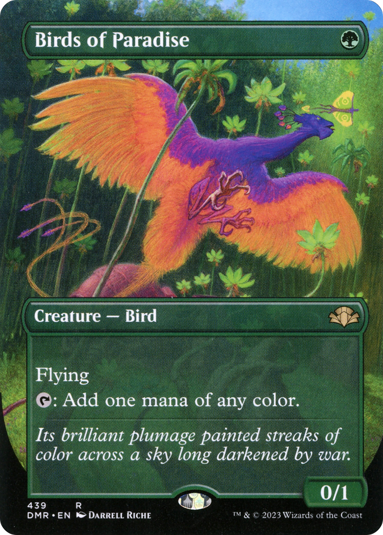 Birds of Paradise Borderless 439