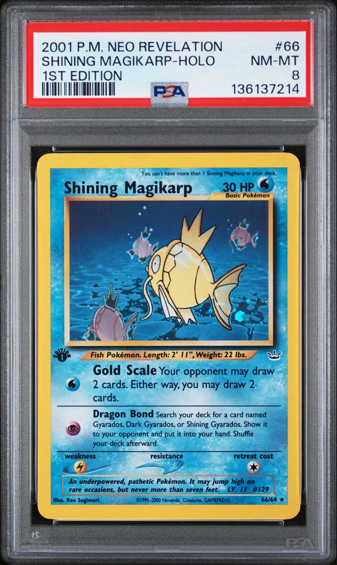 Shining Magikarp Holo 1st Edition #66 PSA 8